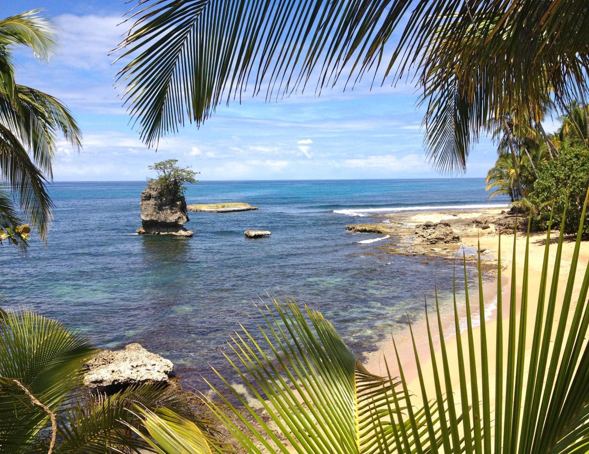 Physis Caribbean Bed & Breakfast Puerto Viejo de Talamanca ภายนอก รูปภาพ