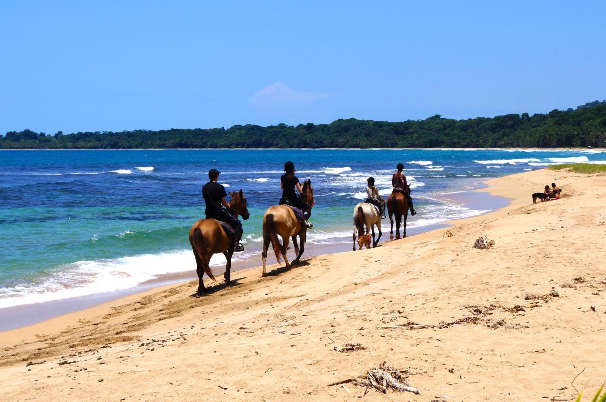 Physis Caribbean Bed & Breakfast Puerto Viejo de Talamanca ภายนอก รูปภาพ