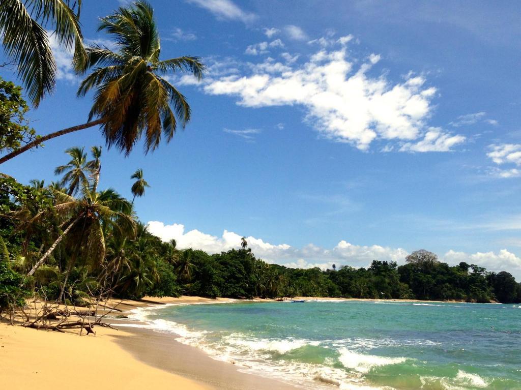 Physis Caribbean Bed & Breakfast Puerto Viejo de Talamanca ภายนอก รูปภาพ