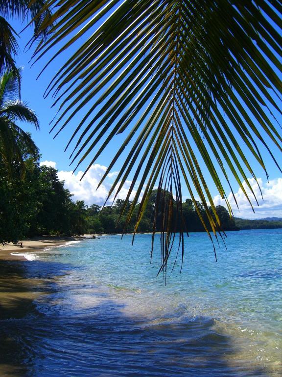 Physis Caribbean Bed & Breakfast Puerto Viejo de Talamanca ภายนอก รูปภาพ