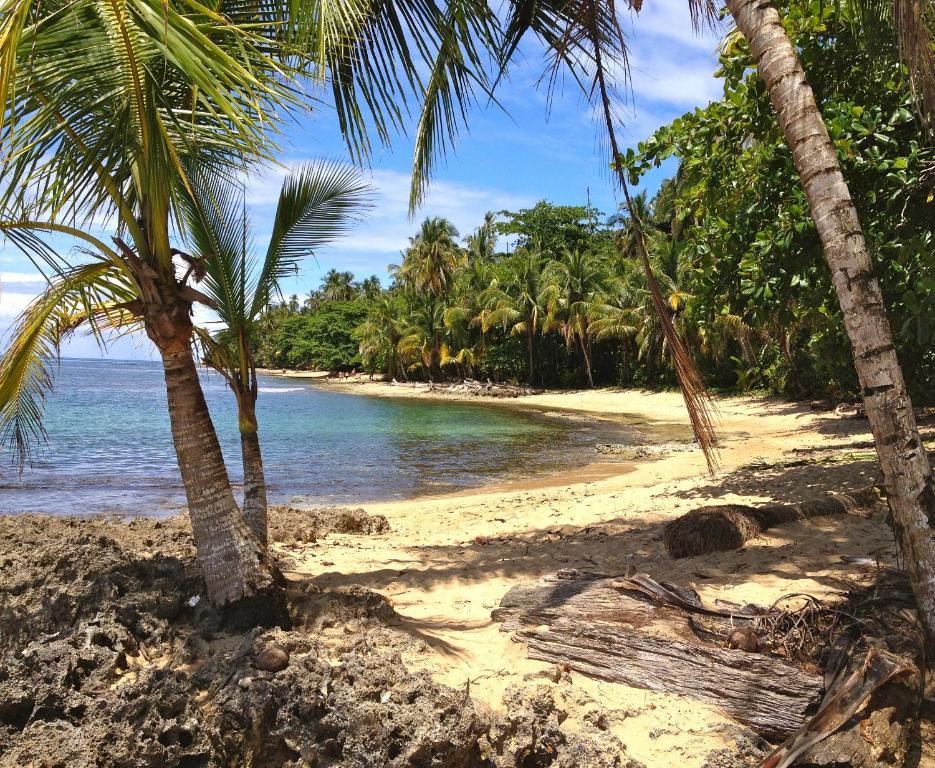 Physis Caribbean Bed & Breakfast Puerto Viejo de Talamanca ภายนอก รูปภาพ