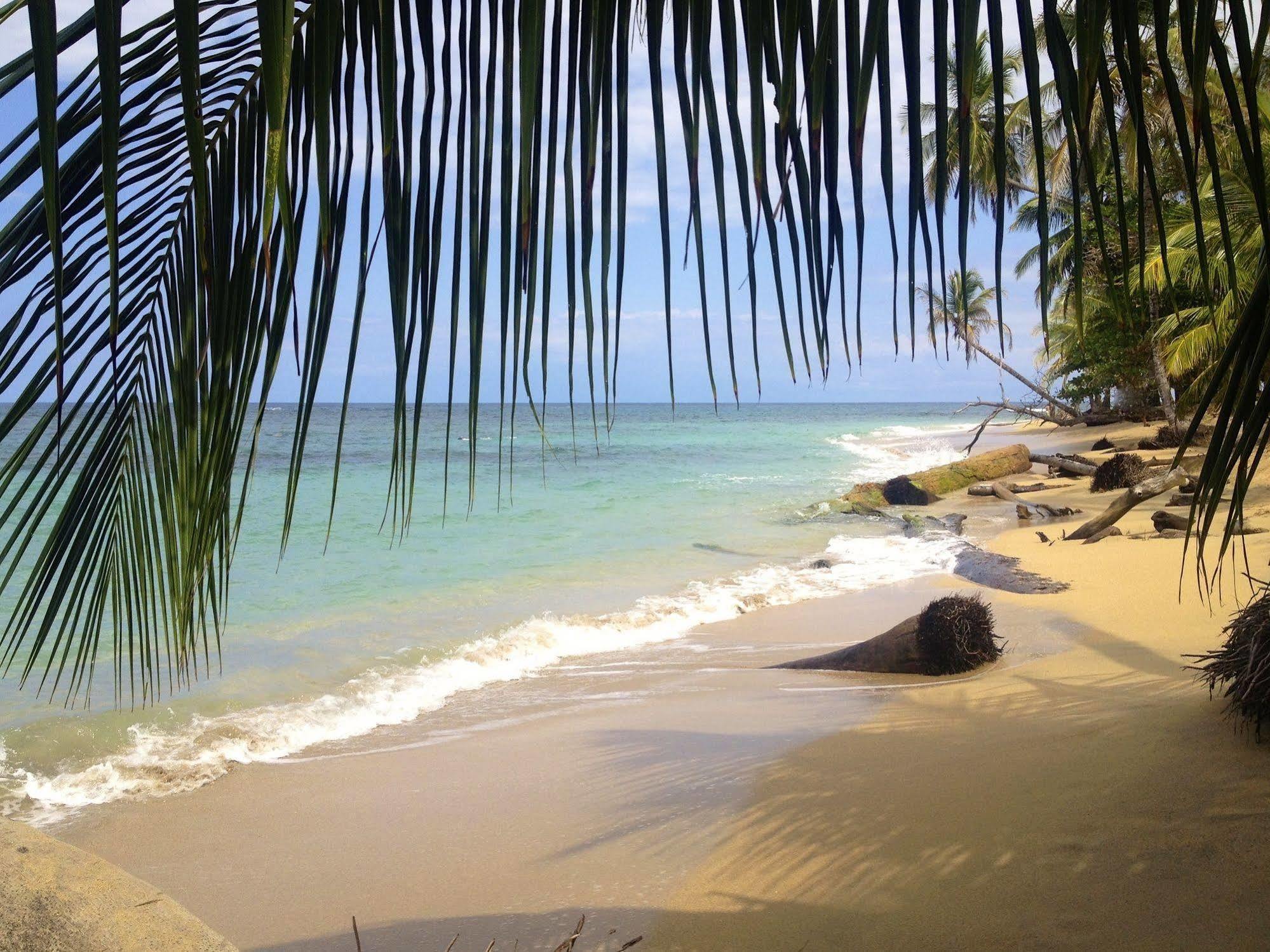 Physis Caribbean Bed & Breakfast Puerto Viejo de Talamanca ภายนอก รูปภาพ