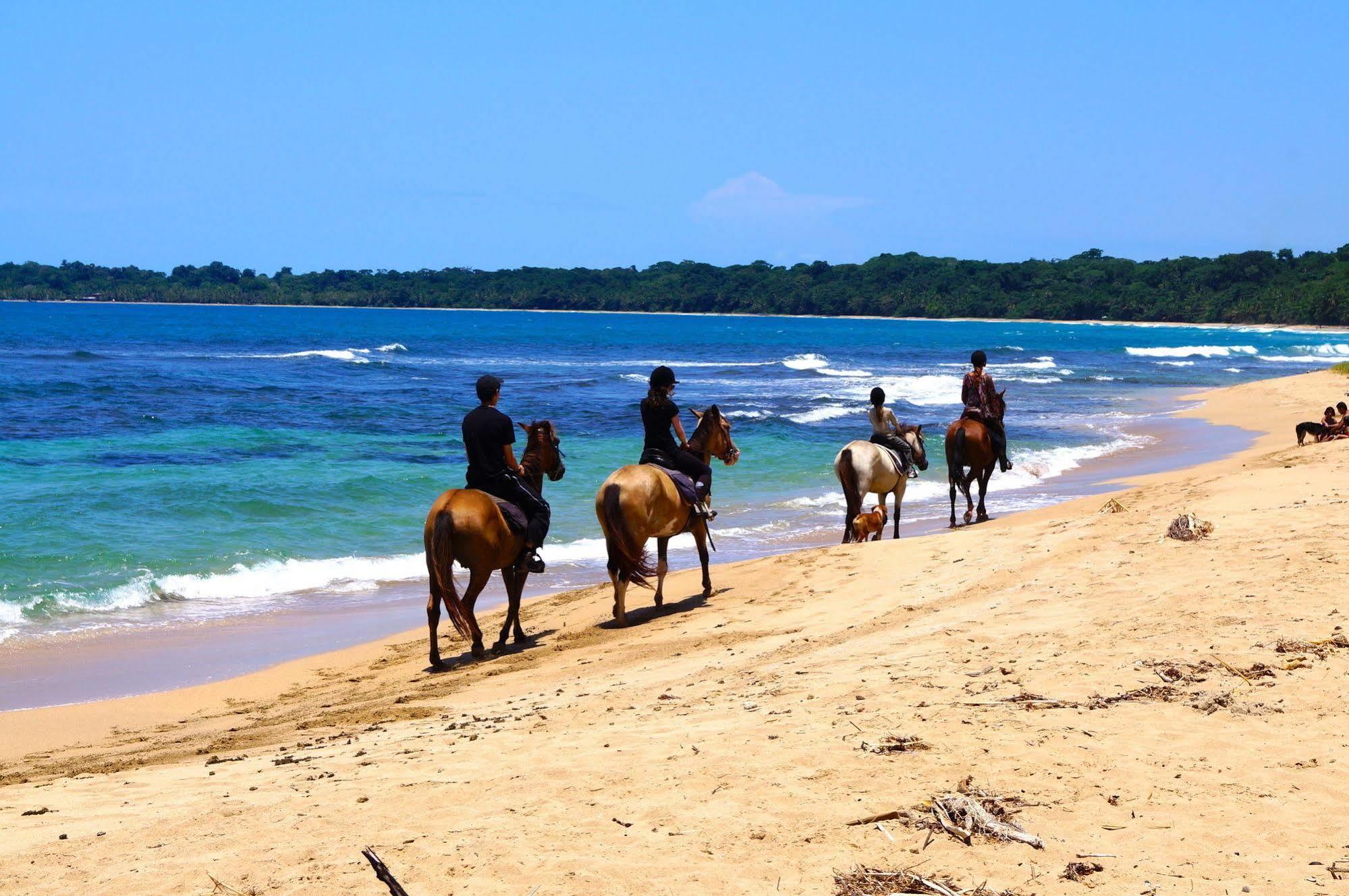 Physis Caribbean Bed & Breakfast Puerto Viejo de Talamanca ภายนอก รูปภาพ