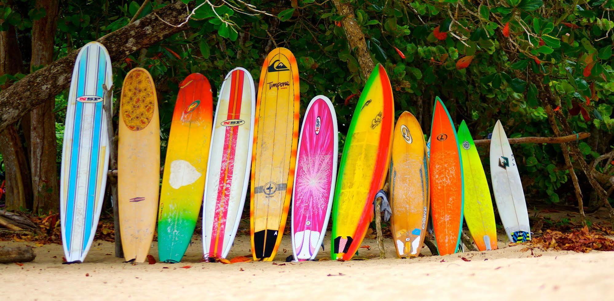 Physis Caribbean Bed & Breakfast Puerto Viejo de Talamanca ภายนอก รูปภาพ